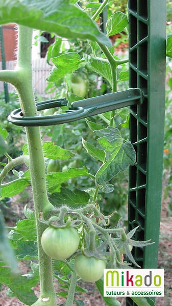 MIKADO - Tuteur 180cm vert + 4 attaches - large