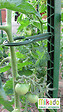 MIKADO - Tuteur 180cm vert + 4 attaches - vignette