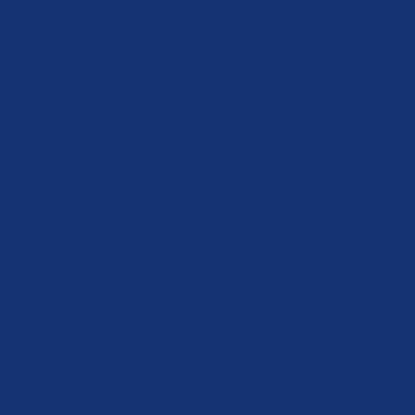 DULUX VALENTINE - Testeur de peinture - Eclipse - Satin - 30ml - large