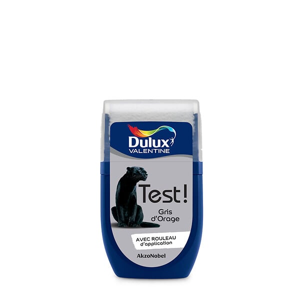 DULUX VALENTINE - Testeur peinture Crème de Couleur Gris d'Orage 30ml - large