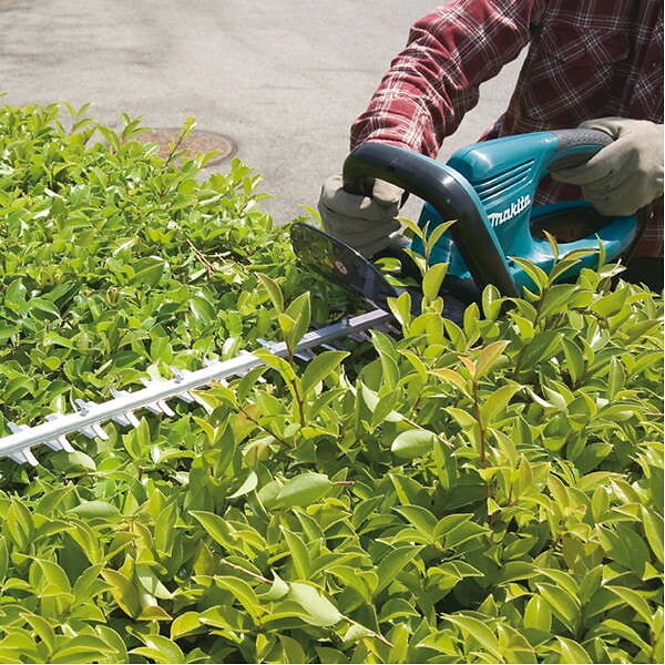 MAKITA - Taille-haie MAKITA UH5570 Semi-Pro 550 W 55 cm - large
