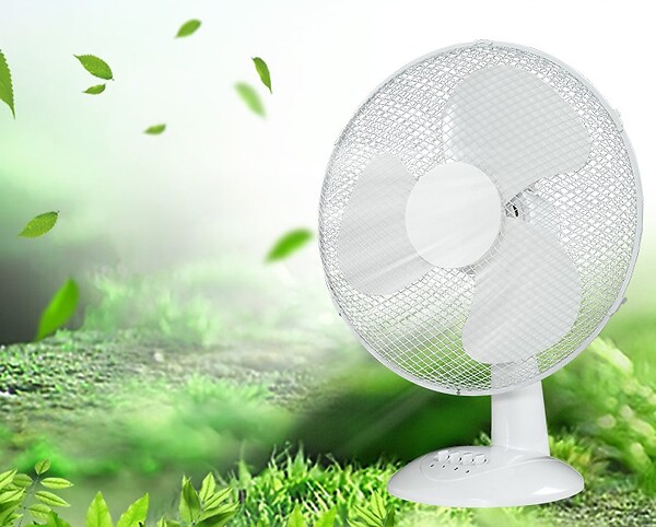 Ventilateur de table - 30cm - 40W - large