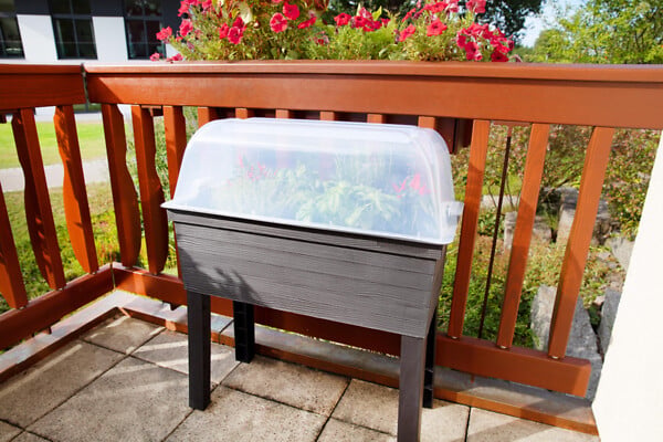 GRAF - carré potager sur pieds avec serre - 645143 - large