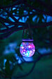 GALIX - Lanterne solaire en verre - Multicolore - H.27,2xDiam.11,6cm - vignette