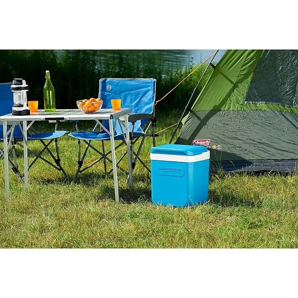 CAMPINGAZ - Glaciere rigide icetime plus 30l - large