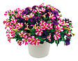 FLEURON - Festival Petunia - Fleurs multicolores - 4,5L - vignette