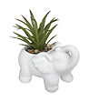 ATMOSPHERA - Plante grasse artificielle dans Pot en ciment Éléphant H 10 cm - vignette