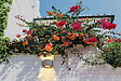 ARLUX - Applique Exterieur Spezia 2x5w/750lm/4000k/gris - vignette
