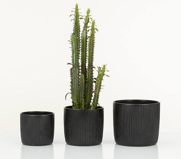 SCHEURICH - Cache-pot céramique Ebano Linea noir 13cm - large