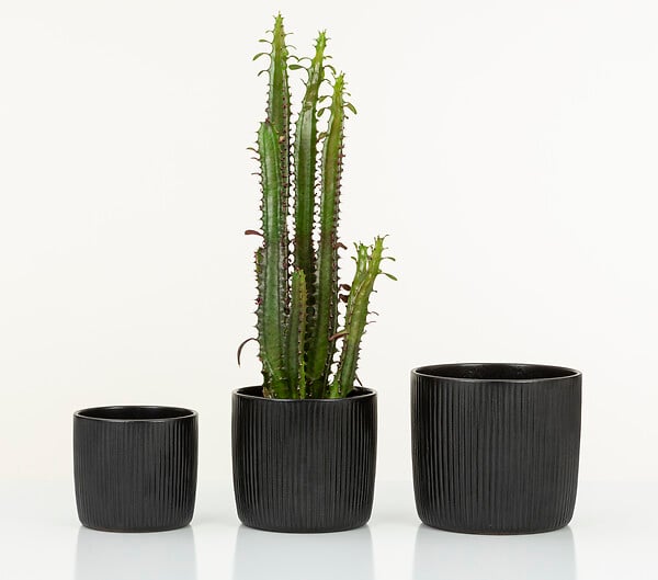 SCHEURICH - Cache-pot céramique noir mat - Ebano Linea - 18cm - large