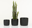 SCHEURICH - Cache-pot céramique noir mat - Ebano Linea - 18cm - vignette