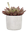SCHEURICH - Cache-pot céramique Perla Linea 15cm - Étanche - 1,57 L - vignette