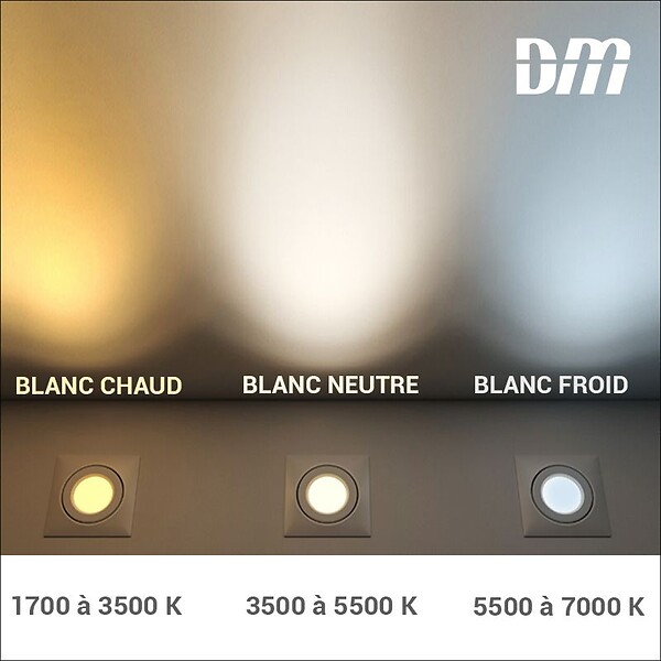 ARIC - Borne POLO LED Haute Aluminium Graphite - 10W-  5000K - Ampoule LED  fournie - large
