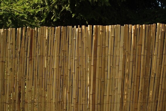 NATURE - Canisse bambou fendu 1x3m - Naturel - large