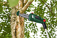 BOSCH - Elagueuse sur perche Universal Chain Pole - 18V - vignette