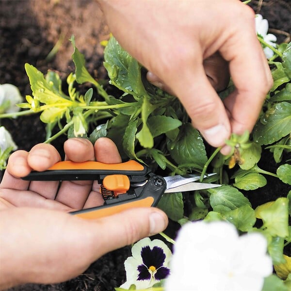 FISKARS - Ciseaux fleurs Microtip Solid SP13 Taille précision - large