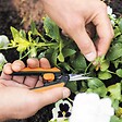 FISKARS - Ciseaux fleurs Microtip Solid SP13 Taille précision - vignette