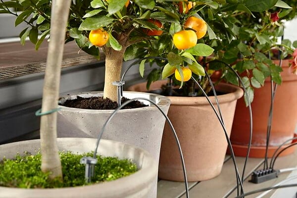 GARDENA - Kit arrosage automatique 36 pots - Pompe 14V - Minuterie - large