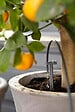 GARDENA - Kit arrosage automatique 36 pots - Pompe 14V - Minuterie - vignette