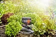 GARDENA - Arroseur oscillant compact - AquaZoom - 216m² - vignette