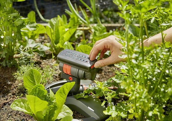 GARDENA - Arroseur oscillant compact - AquaZoom - 216m² - large