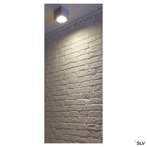 SLV - Plafonnier extérieur SLV BIG THEO, gris, GU10/QPAR111, 75W max, IP44 - large