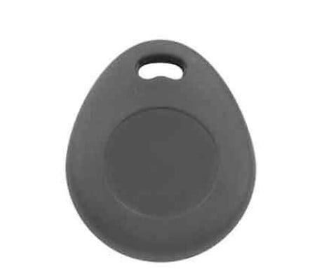 PHILIPS - Badge RFID WelcomeEye Tag - large