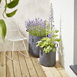 CERLAND - Sac de plantation géotextile Bag4Plant Gris anthracite 12,3L - vignette