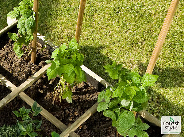 CERLAND - Tuteur tomates - Lot de 6 - large