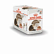 ROYAL CANIN - Aliment humide chat senior - Royal Canin Ageing 12+ - 85g - vignette