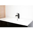 ESSEBAGNO - Cambridge mitigeur lavabo orb noir vieilli - vignette