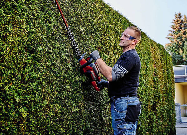 EINHELL - Taille-haies Sans Fil Ge-ch 36/65 Li-solo - large