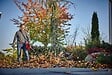 EINHELL - Souffleur de feuilles sans fil EINHELL 3433620 GE-LB 36/210 Li E-Solo Power X-Change (produit seul) - vignette