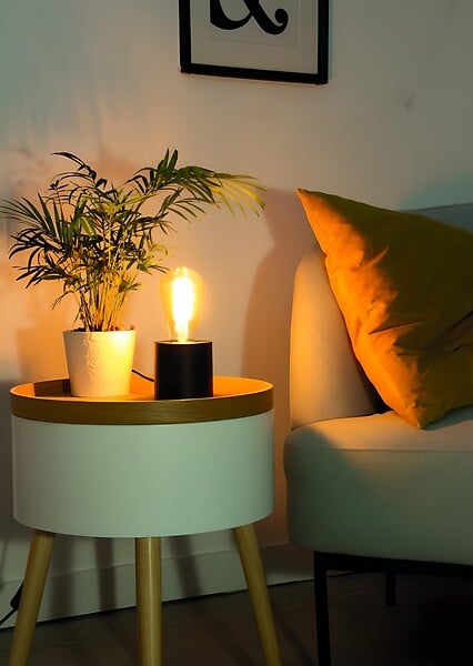 XANLITE - Ampoule Filament LED déco - Verre opaque - ST64 - 10W - large