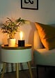 XANLITE - Ampoule Filament LED déco - Verre opaque - ST64 - 10W - vignette