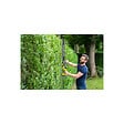 RYOBI - Pack RYOBI Taille-haies Linea 18V One+ LINEA 55cm RY18HT55A-0 - 1 Batterie 4.0Ah - 1 Chargeur rapide RC18120-140X - vignette