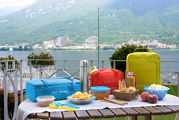 AFGFRANCE - Set de 2 sacs isotherme Festa - 24L + 7L - large