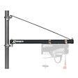 RIBIMEX - Potence Pivotante 500 kg pour palan - vignette