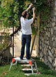 ARROW - Boîte de 5000 agrafes T30 8 mm Arrow - vignette
