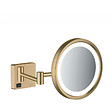 HANSGROHE - Hansgrohe AddStoris Miroir cosmétique mural avec éclairage LED, Bronze brossé (41790140) - vignette