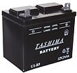 TASHIMA - Batterie pour tondeuse autoportée 12V 24.0Ah U1R9 - vignette