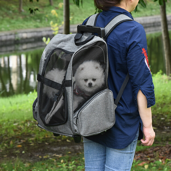 PAWHUT - 2 en 1 trolley chariot sac à dos sac de transport à roulettes pour chien chat gris - large