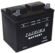 TASHIMA - Batterie pour tondeuse autoportée 12V 24A U1L9 - vignette