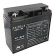 TASHIMA - Batterie pour motoculture 12V 20A Nh1220 - vignette