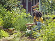 GARDENA - Sécateur GARDENA 12203-20 ExpertCut diamètre de coupe 22 mm - vignette