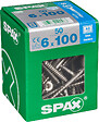 SPAXFRANCE - SPAX INOX TF 6x100 TX 50 PC - vignette