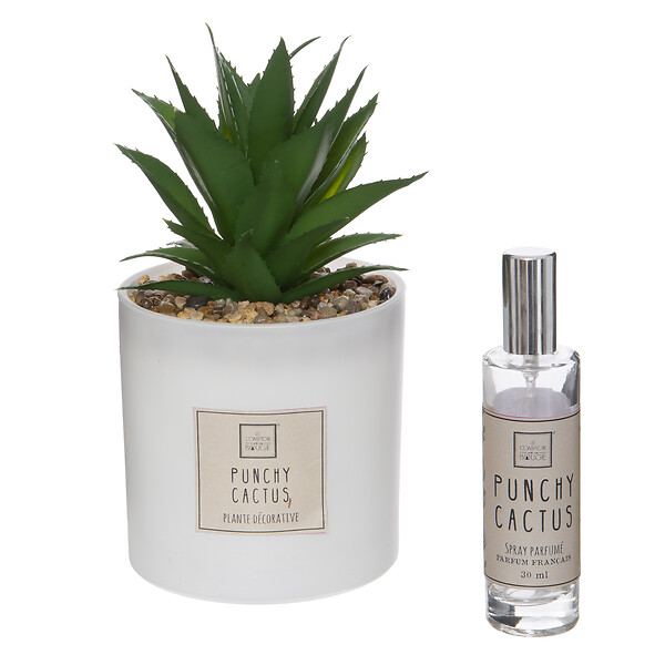 ATMOSPHERA - Coffret senteur en verre - Comptoir de la Bougie cactus - 19,2cm - large