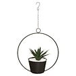 ATMOSPHERA - Plante suspendue artificielle - Verre - D29cm - vignette