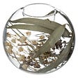 ATMOSPHERA - Photophore boule verre fleurs séchées - 10cm - vignette