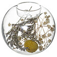 ATMOSPHERA - Photophore boule verre fleurs séchées - 10cm - vignette